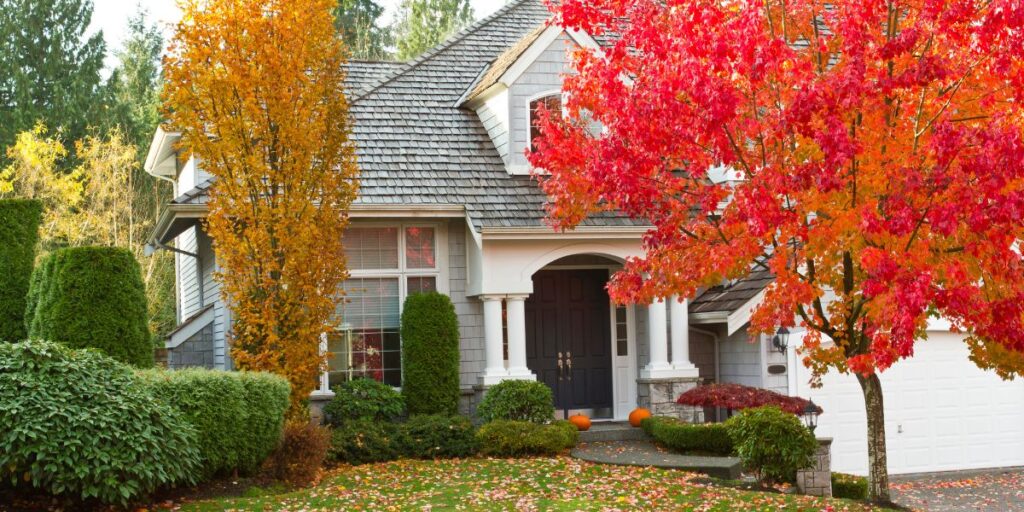 autumn leaves fall front yards trees 