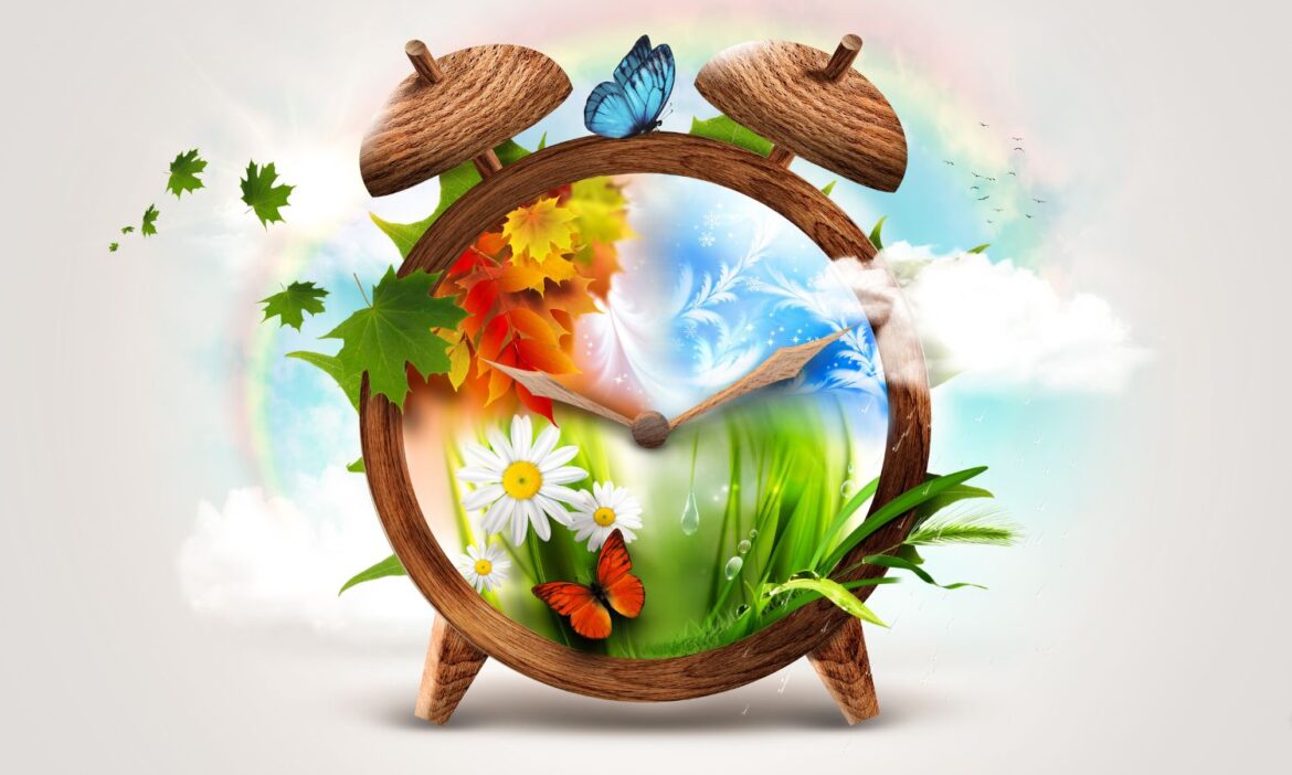 graphic of a alarm clock and the four season in the dial