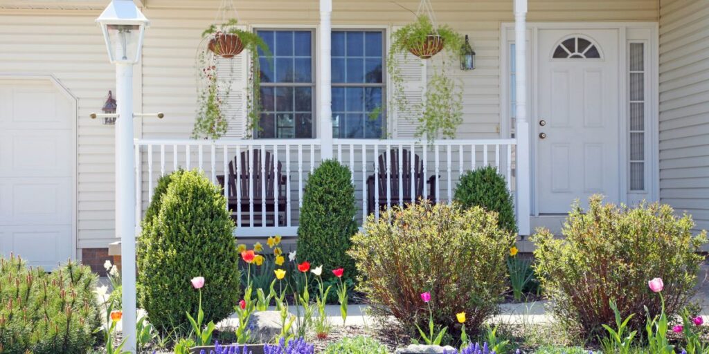 spring garden white home blooming tulips